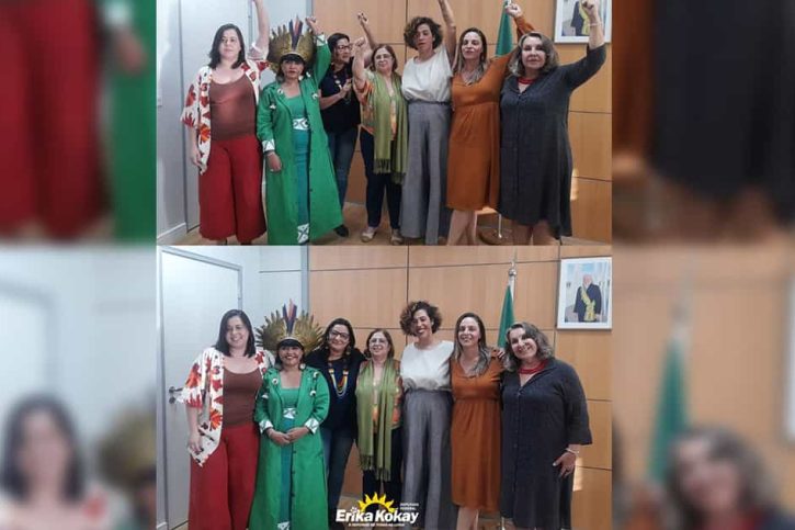 Deputada Erika Kokay se reúne com Ministra das Mulheres do Governo Lula contra ação do PL