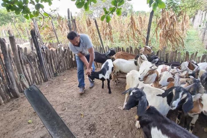 Prefeito Arilson Mesquita investe produção rural de Lagoa de São Francisco (PI)